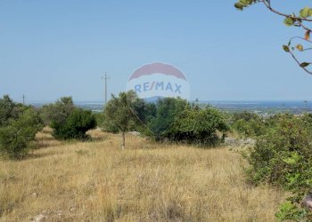Vista delle montagne - Terreno agricolo SP 73
 
sn, Noto - foto 3