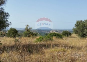 Vista delle montagne - Terreno agricolo SP 73
 
sn, Noto - foto 4