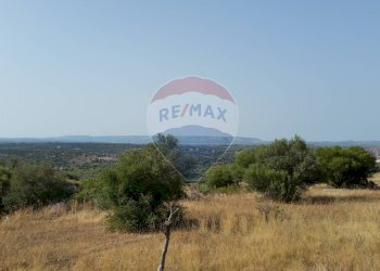 Vista delle montagne - Terreno agricolo SP 73
 
sn, Noto - foto 3