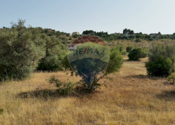 Vista delle montagne - Terreno agricolo SP 73
 
sn, Noto - foto 6