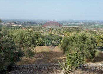 Vista delle montagne - Terreno agricolo SP 73
 
sn, Noto - foto 8