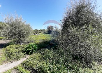 Giardino - Terreno edificabile Via Balatelle
 
29, Sant'Agata Li Battiati - foto 19
