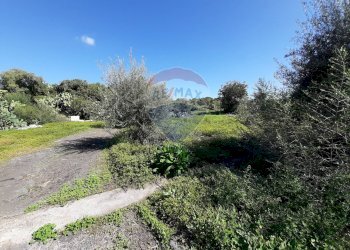 Giardino - Terreno edificabile Via Balatelle
 
29, Sant'Agata Li Battiati - foto 20