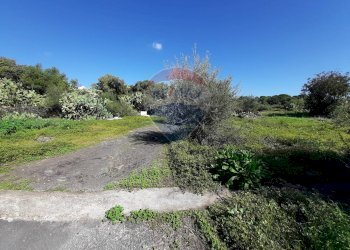 Giardino - Terreno edificabile Via Balatelle
 
29, Sant'Agata Li Battiati - foto 21