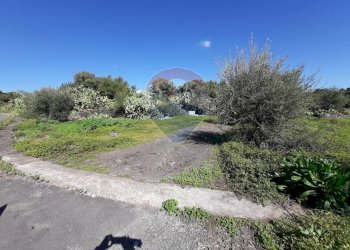 Giardino - Terreno edificabile Via Balatelle
 
29, Sant'Agata Li Battiati - foto 22