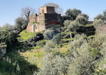 Giardino - Terreno edificabile Via Balatelle
 
29, Sant'Agata Li Battiati - foto 24