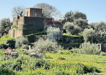 Giardino - Terreno edificabile Via Balatelle
 
29, Sant'Agata Li Battiati - foto 27