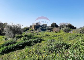 Giardino - Terreno edificabile Via Balatelle
 
29, Sant'Agata Li Battiati - foto 29