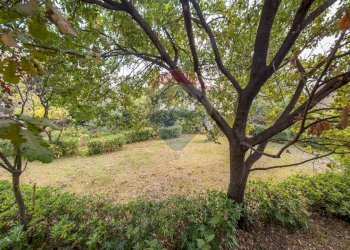 Giardino - Villa VIa Quasimodo
 
5, Viagrande - foto 29