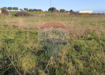 Non correlato - Terreno edificabile VIA PARINI
SN, Caltagirone - foto 4
