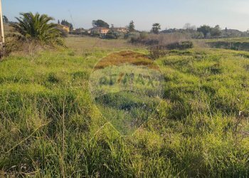 Non correlato - Terreno edificabile VIA PARINI
SN, Caltagirone - foto 6