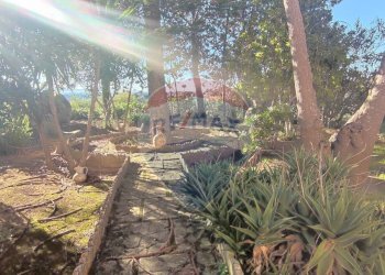 Giardino - Villa VIA GIUSEPPE CANNATA
 
4, Caltagirone - foto 35