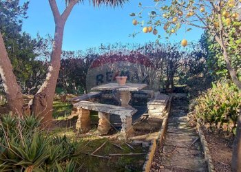 Giardino - Villa VIA GIUSEPPE CANNATA
 
4, Caltagirone - foto 36