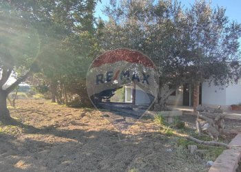 Giardino - Villa CONTRADA SAN NICOLO' LE CANNE
 
SN, Caltagirone - foto 7