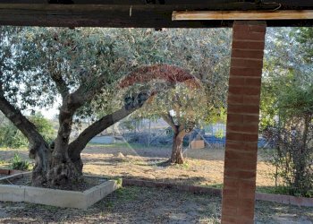 Giardino - Villa CONTRADA SAN NICOLO' LE CANNE
 
SN, Caltagirone - foto 9