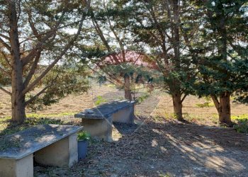 Giardino - Villa CONTRADA SAN NICOLO' LE CANNE
 
SN, Caltagirone - foto 10