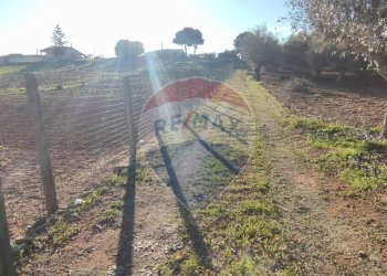 Non correlato - Villa CONTRADA SAN NICOLO' LE CANNE
 
SN, Caltagirone - foto 13