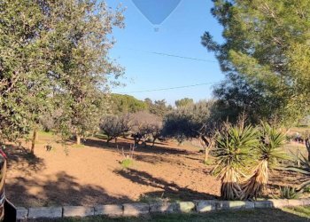 Giardino - Villa CONTRADA SAN NICOLO' LE CANNE
 
SN, Caltagirone - foto 14