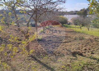 Giardino - Villa CONTRADA SAN NICOLO' LE CANNE
 
SN, Caltagirone - foto 30