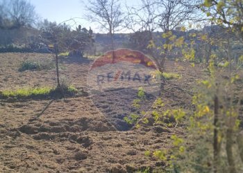 Vista delle montagne - Villa CONTRADA SAN NICOLO' LE CANNE
 
SN, Caltagirone - foto 33