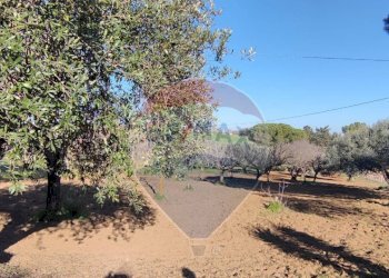 Giardino - Villa CONTRADA SAN NICOLO' LE CANNE
 
SN, Caltagirone - foto 37