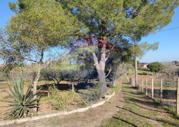 Giardino - Villa CONTRADA SAN NICOLO' LE CANNE
 
SN, Caltagirone - foto 38