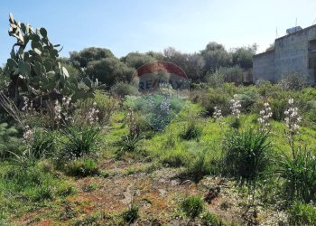 Giardino - Terreno agricolo Via Vinazza
 
14, Misterbianco - foto 6