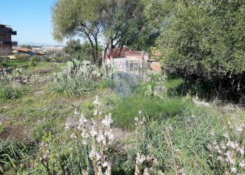 Giardino - Terreno agricolo Via Vinazza
 
14, Misterbianco - foto 11