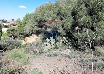 Giardino - Terreno agricolo Via Vinazza
 
14, Misterbianco - foto 14