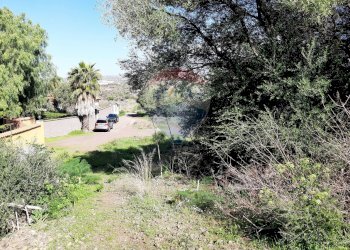 Giardino - Terreno agricolo Via Vinazza
 
14, Misterbianco - foto 16