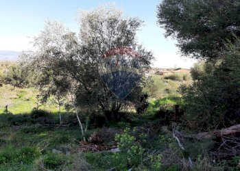 Giardino - Terreno agricolo Via Vinazza
 
14, Misterbianco - foto 17