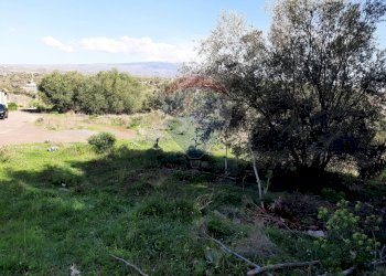 Giardino - Terreno agricolo Via Vinazza
 
14, Misterbianco - foto 18