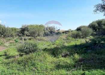 Vista delle montagne - Terreno agricolo Via Vinazza
 
14, Misterbianco - foto 20