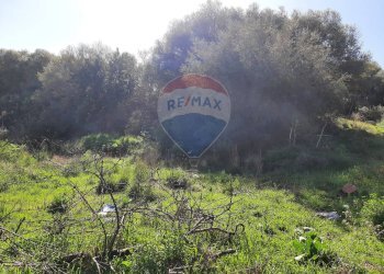 Non correlato - Terreno agricolo Via Vinazza
 
14, Misterbianco - foto 25