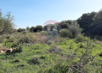 Vista delle montagne - Terreno agricolo Via Vinazza
 
14, Misterbianco - foto 27