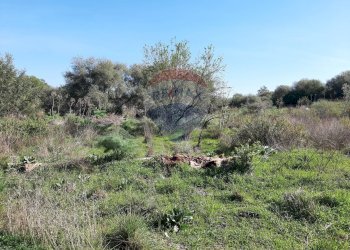 Giardino - Terreno agricolo Via Vinazza
 
14, Misterbianco - foto 28