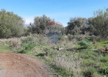 Giardino - Terreno agricolo Via Vinazza
 
14, Misterbianco - foto 29