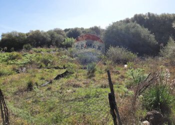 Vista delle montagne - Terreno agricolo Via Vinazza
 
14, Misterbianco - foto 31