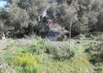 Giardino - Terreno agricolo Via Vinazza
 
14, Misterbianco - foto 33