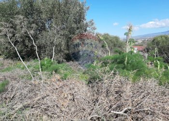 Giardino - Terreno agricolo Via Vinazza
 
14, Misterbianco - foto 34