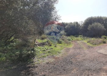 Giardino - Terreno agricolo Via Vinazza
 
14, Misterbianco - foto 40