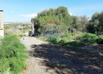 Giardino - Terreno agricolo Via Vinazza
 
14, Misterbianco - foto 42