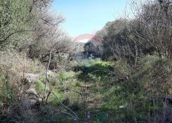 Non correlato - Terreno agricolo Via Vinazza
 
14, Misterbianco - foto 44