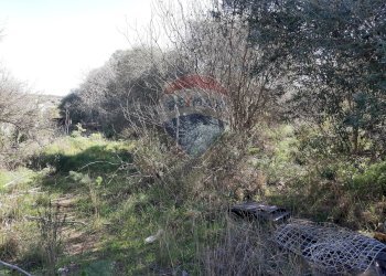 Non correlato - Terreno agricolo Via Vinazza
 
14, Misterbianco - foto 45