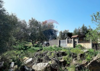 Giardino - Terreno agricolo Via Vinazza
 
14, Misterbianco - foto 46