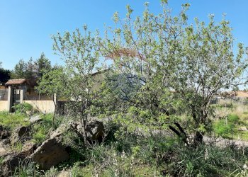 Giardino - Terreno agricolo Via Vinazza
 
14, Misterbianco - foto 47