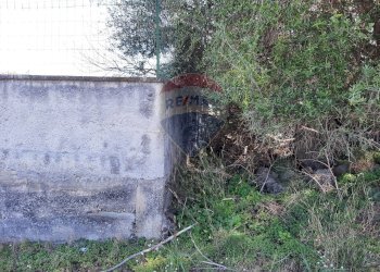 Giardino - Terreno agricolo Via Vinazza
 
14, Misterbianco - foto 49