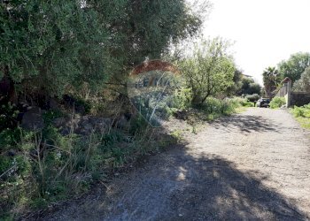 Giardino - Terreno agricolo Via Vinazza
 
14, Misterbianco - foto 51