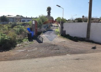 Giardino - Terreno agricolo Via Vinazza
 
14, Misterbianco - foto 55