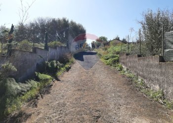 Giardino - Terreno agricolo Via Vinazza
 
14, Misterbianco - foto 60